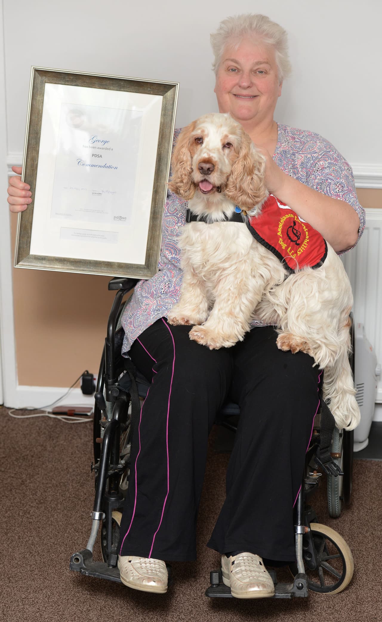 Afortunadamente existen perros tan increíbles que harían cualquier cosa por sus humanos. ¡Y viceversa! George y Anita son prueba de ello.