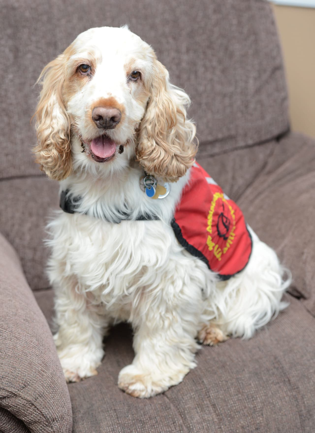 Sus acciones heroicas llegaron a oídos del mundo entero y por eso se ha convertido en el foco de atención.