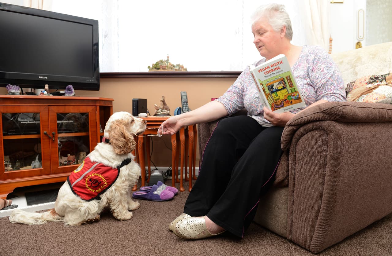 ¡Vaya suerte tuvo Anita Castellina de tener a un perro tan fantástico!