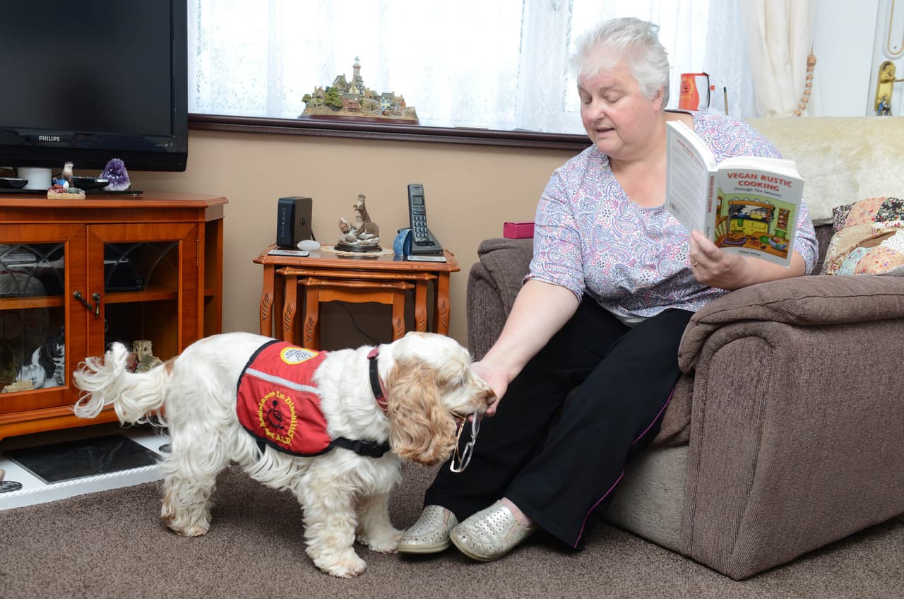 ¡Le dieron un gran reconocimiento por lo que hizo!
