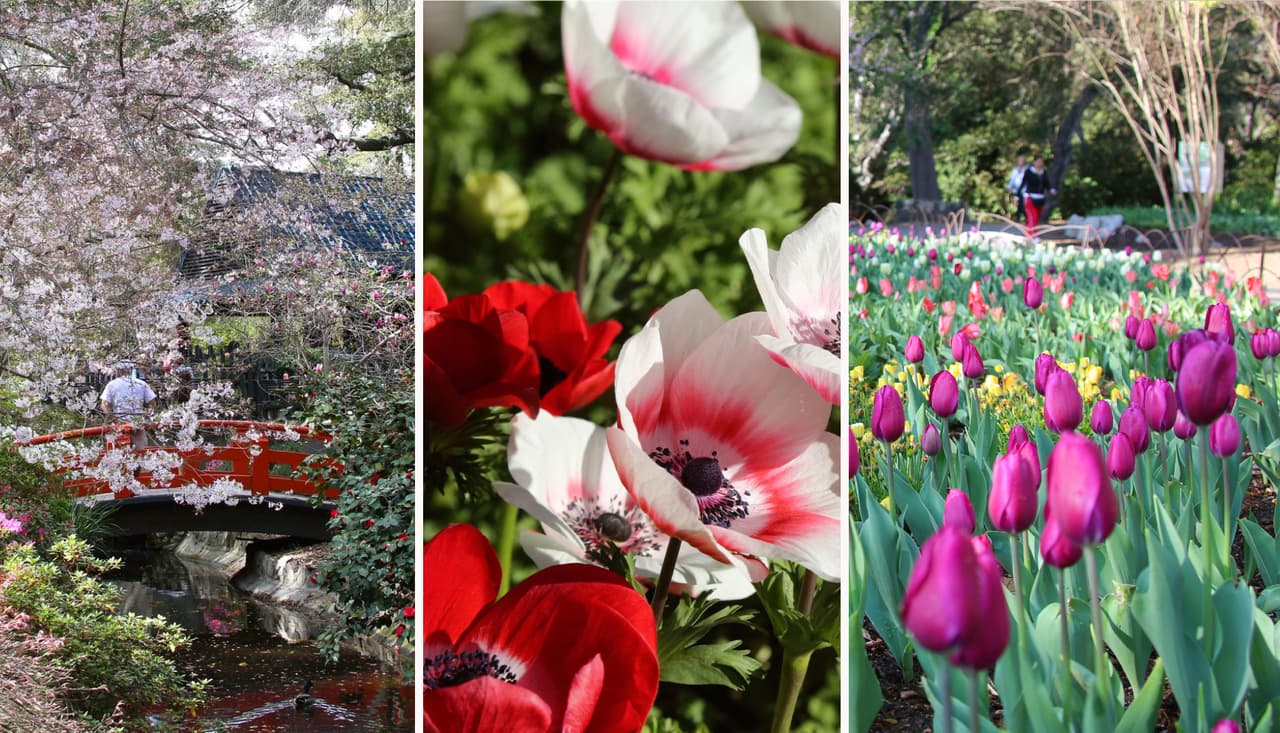La temporada invernal está terminando y dará paso a temperaturas más cálidas. Esta época del año permite que los colores de la naturaleza reluzcan con todo su esplendor.