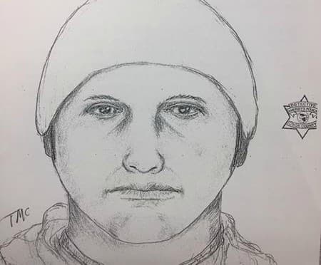 Retrato hablado de presunto agresor de ataque sexual en Rolling Meadows