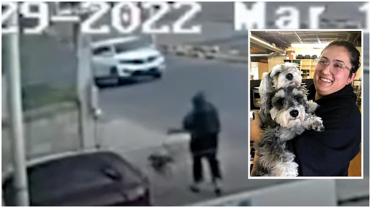 <b>Video.</b> Esto es lo que sabemos sobre el secuestro de la californiana Mónica de León Barba en Jalisco.