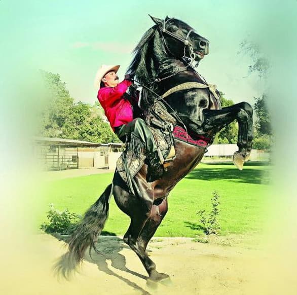 ¿Te gustaría ver esta película?