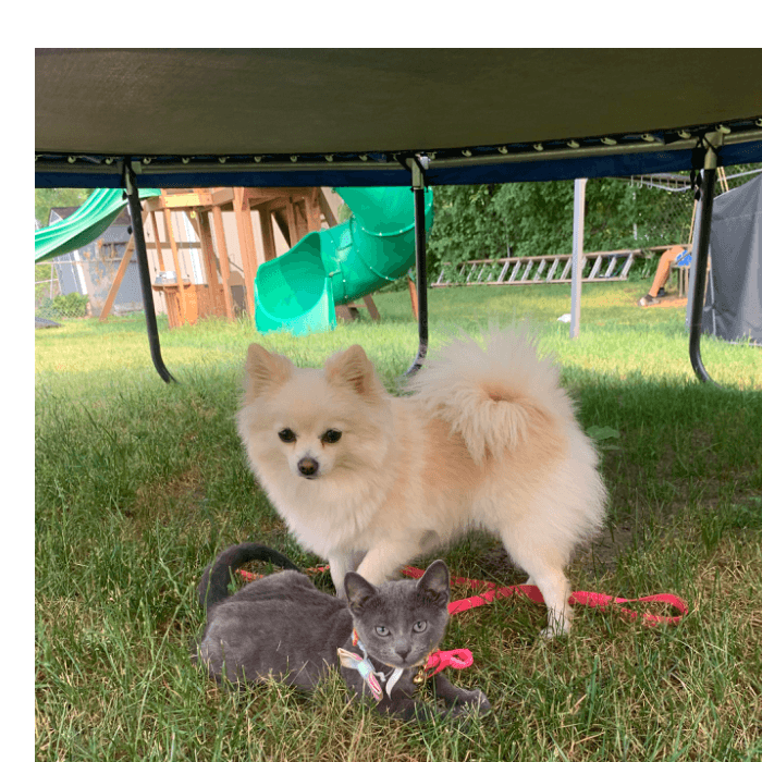 Luna y Lola son inseparables. Las mejores amigas