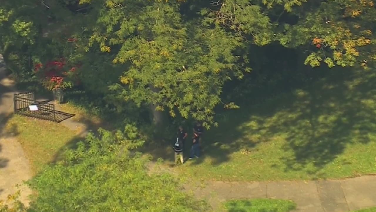 Investigan el hallazgo de restos humanos en un parque de Manhasset: esto se sabe