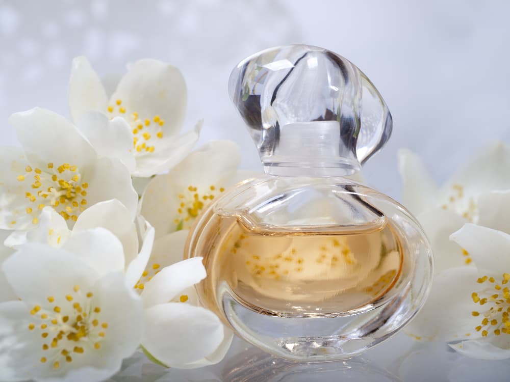 No solamente puedes llenar tu casa u oficina con jazmines, sino también valerte de su poderosa esencia. Puedes usar perfumes que usen de base el jazmín para no sólo ponerte tú, sino también aromatizar todo el ambiente.