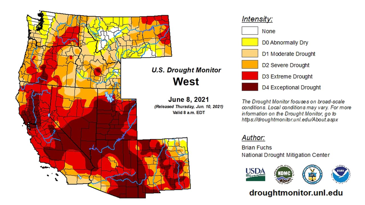 Según datos del Monitor de Sequía de Estados Unidos (U.S Drought Monitor, en inglés), en este momento hay condiciones de sequía “extremas” o “excepcionales” en el 74% del estado de California. En el resto del oeste de Estados Unidos el 72% está experimentando una sequía considerada ‘severa”.