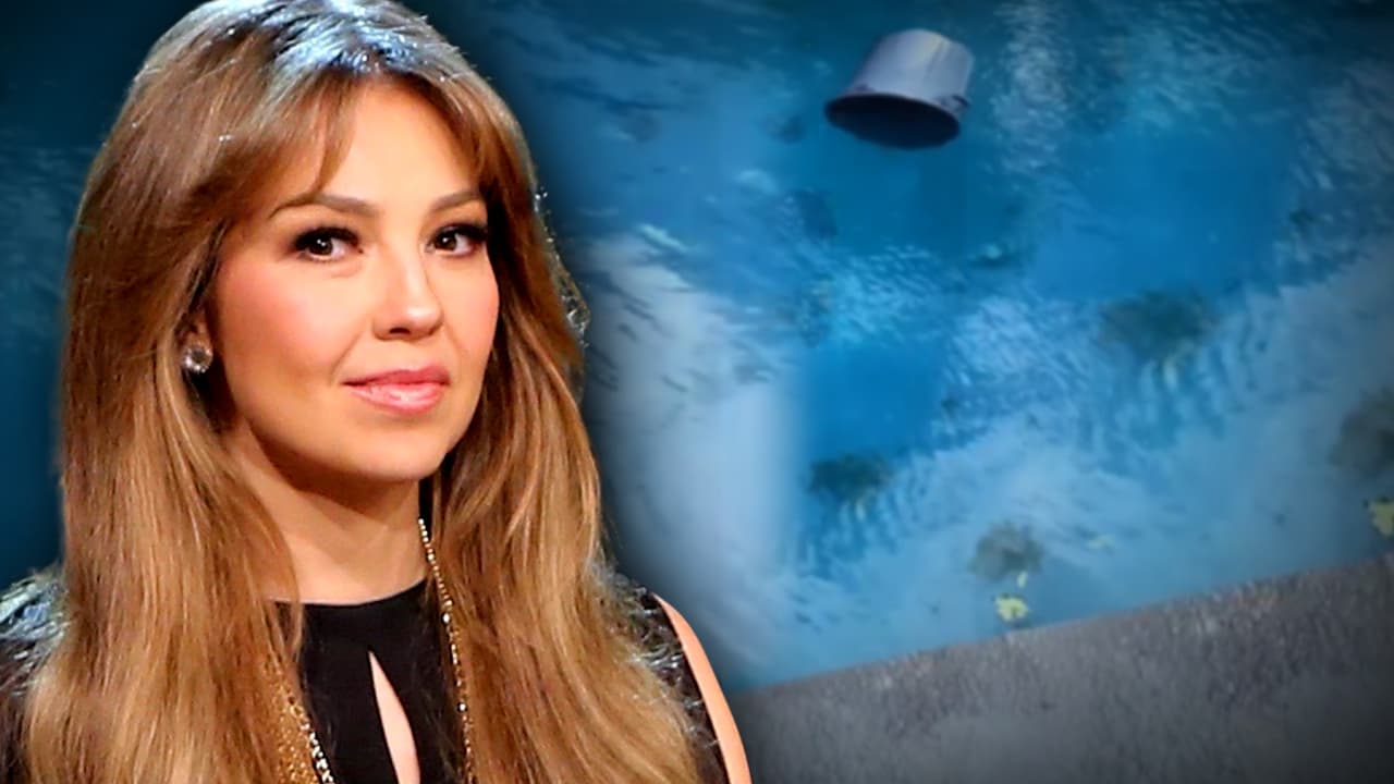 "Voló todo": Thalía exhibe lo que provocó el paso del "huracán" (la tormenta Isaías) en su mansión de Connecticut