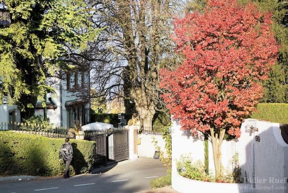 6. CHEMIN DE RUTH. En las orillas del lago de Ginebra, en Suiza, las mansiones de esta calle tienen piscinas y jardines con impresionantes panorámicas. El metro cuadrado cuesta en promedio 37 mil dólares. (Imagen tomada de Twitter).