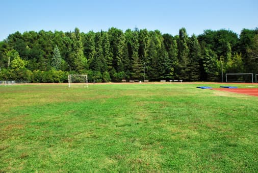 <b>Eventos deportivos colegiados y profesionales |</b> Sin embargo, no hay límites de ocupación para iglesias, operaciones del gobierno local y cualquier servicio enumerado por la Agencia de Seguridad de Infraestructura y Ciberseguridad (CISA) del Departamento de Seguridad Nacional de Estados Unidos.