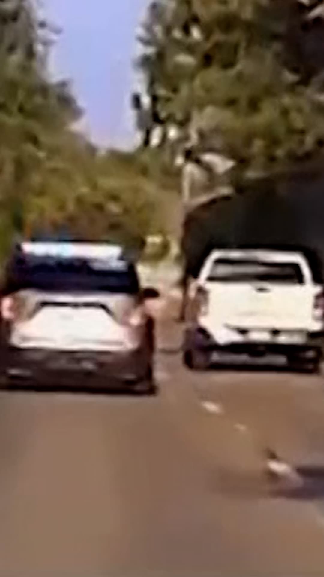 Vuelan Miles de Dólares a la Calle durante una Persecución Policial