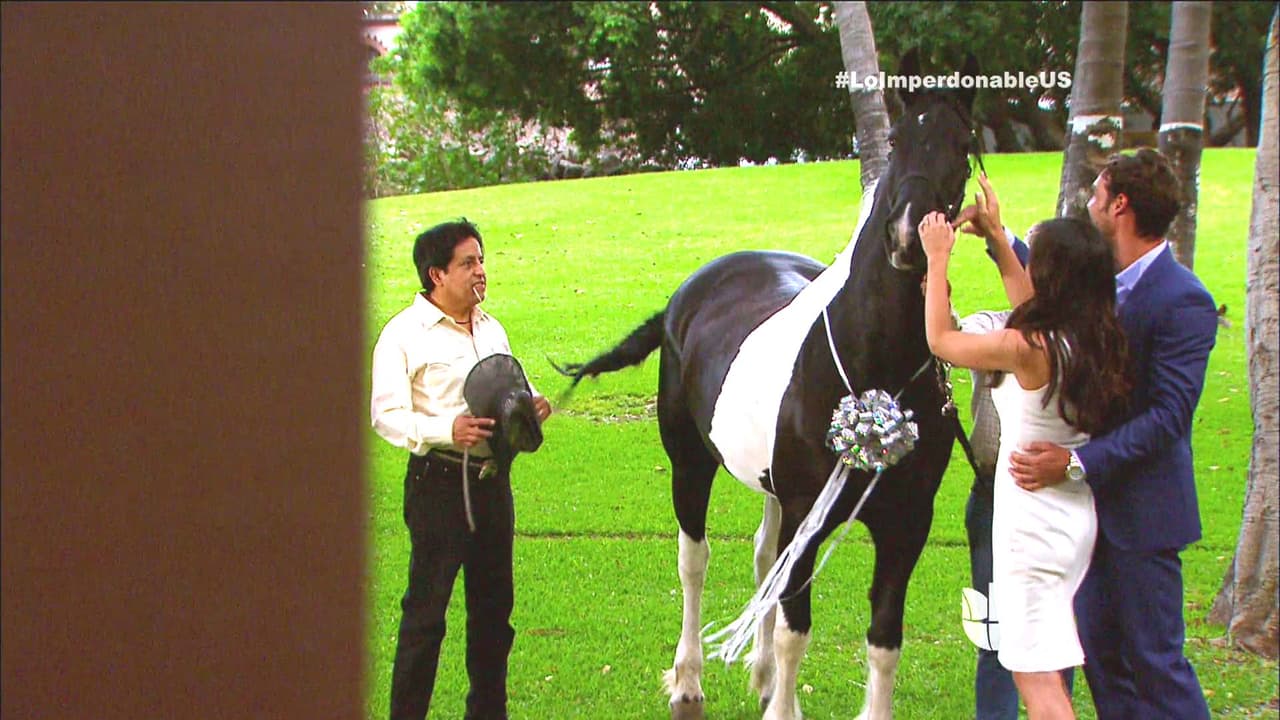 ¡Pero volvamos al romance! Los regalos de Martín no pararon. ¡También le dio un caballo!