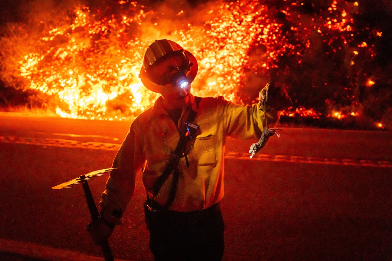 Un bombero retira a un animal herido mientras el incendio Plaskett avanza hacia la Autopista 1, el 28 de agosto de 2026, en Big Sur, California. (AP Foto/Ethan Swope)