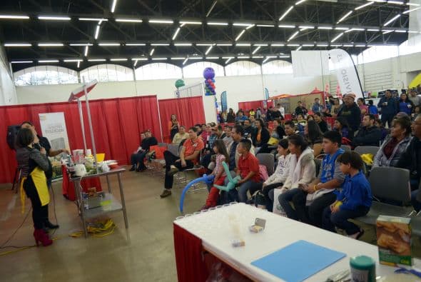 Festival Univision 2014