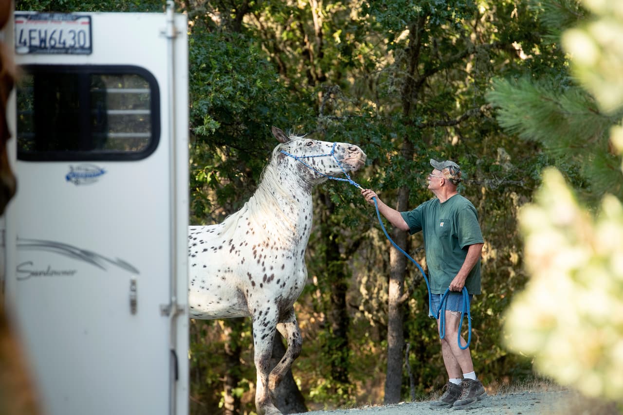 Rich Newell intenta meter a su caballo 'Ike' en un remolque cuando evacuaba Lewiston, California, luego de saber que se acercaba el incendio Carr. Miles de residentes siguen siendo evacuados por el incendio, que ha matado al menos a cinco personas, amenaza hogares en Redding y las comunidades circundantes.