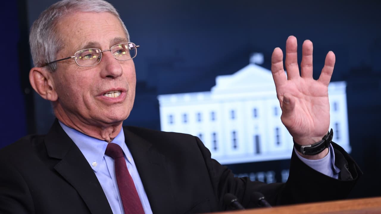 El doctor Fauci dice que "nadie debería tener miedo de buscar ayuda médica"