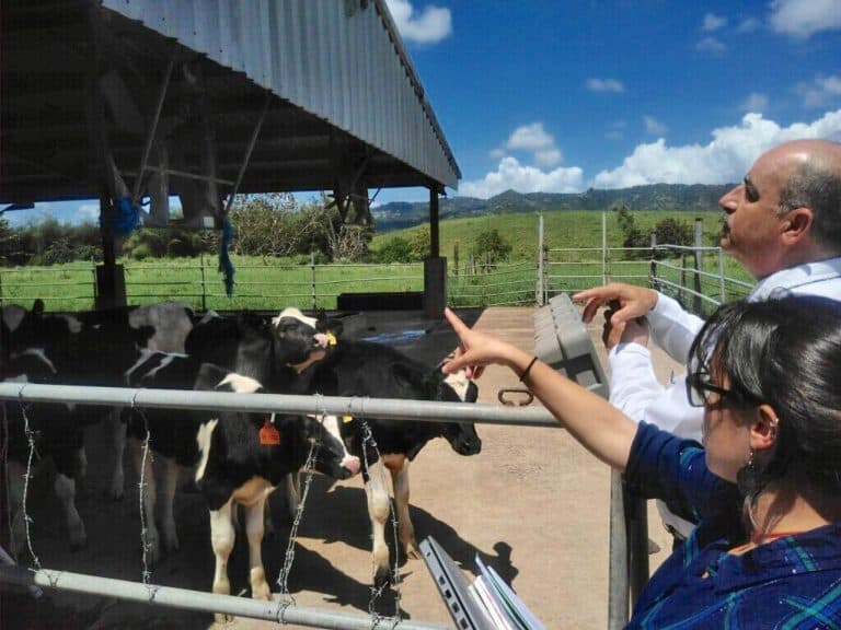 Departamento de Agricultura destina $500,000 en incentivos a agricultores afectados por la sequía