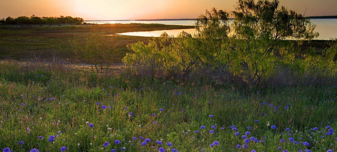 Big Spring
<br>
<br>Choke Canyon
<br>
<br>Devils River – Del Norte Unit
<br>
<br>Garner
<br>
<br>Goliad