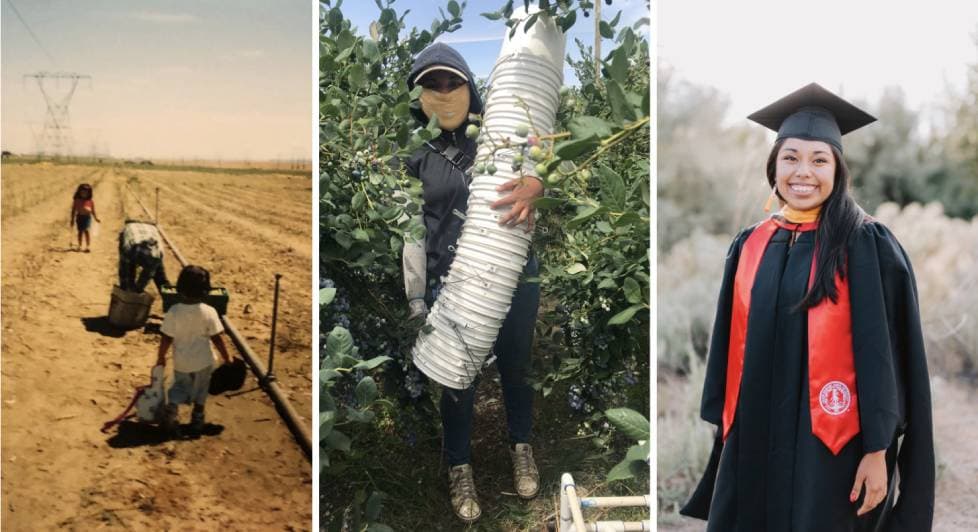 De los campos de cultivos a Stanford: esta es la joven oaxaqueña que ahora es la voz de los trabajadores olvidados