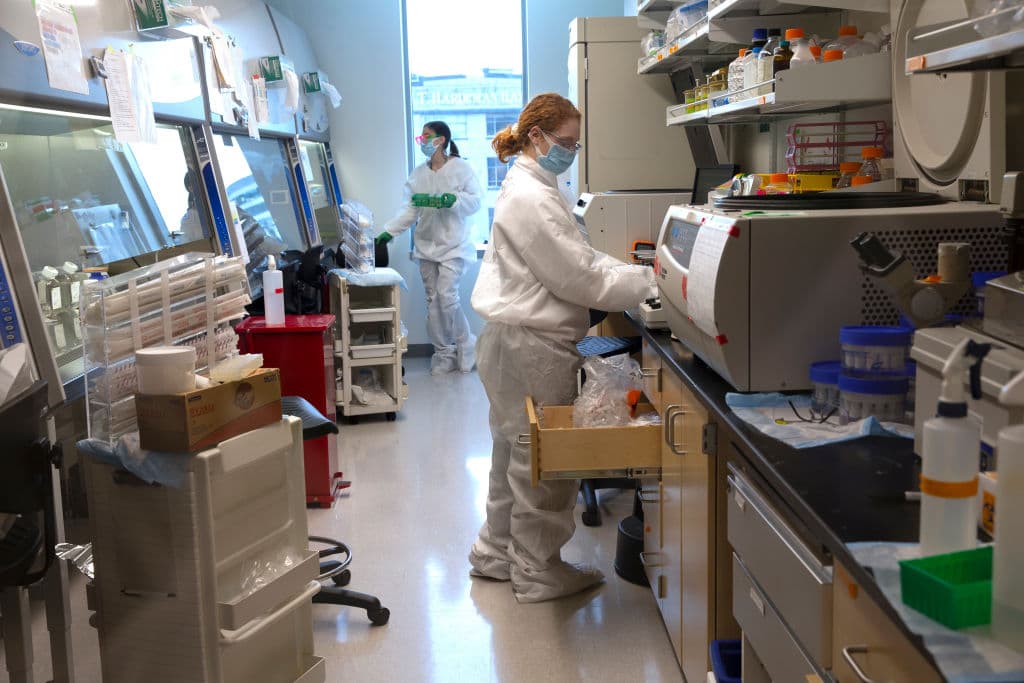 "La introducción de vacunas COVID-19 seguras y efectivas será una 
<b>herramienta crítica para combatir la propagación viral desenfrenada </b>en los Estados Unidos", dijo Levine. 
<br>