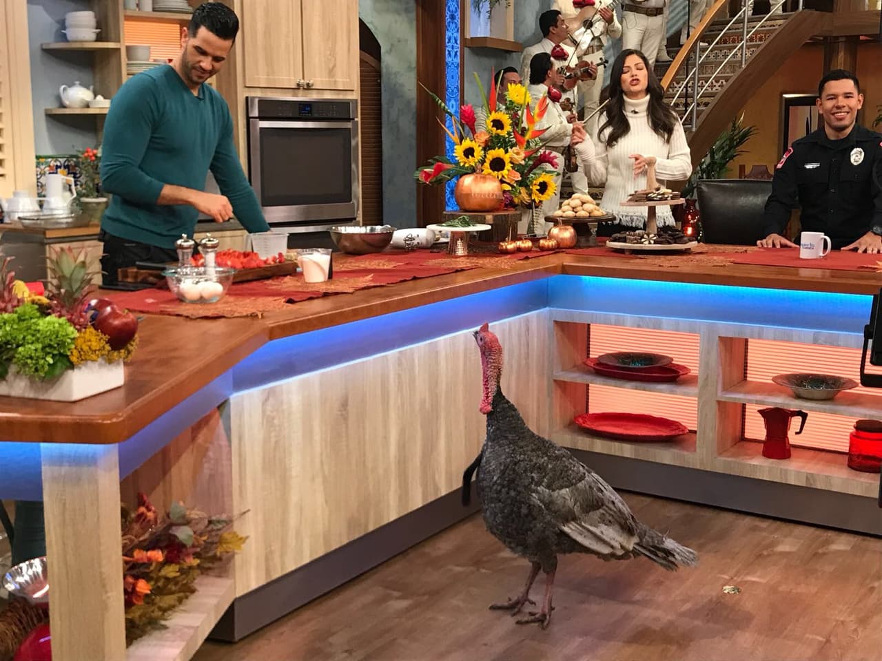 Lo que César no sabía es que era un invitado más, a este pavito nadie iba a comérselo.