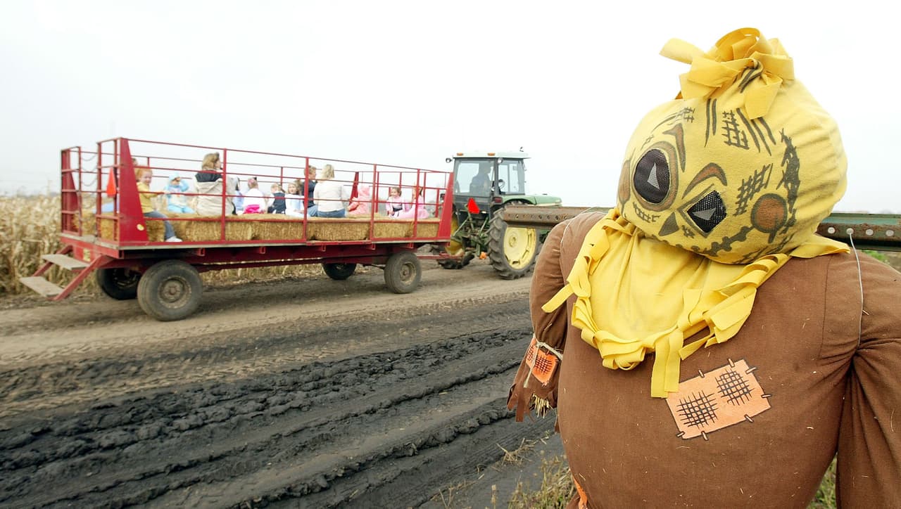 Tomar un paseo de heno (Hayride), muchas granjas ofrecen paseos en heno durante el otoño. Esta es una excelente manera de relajarse y disfrutar de la naturaleza con niños más pequeños