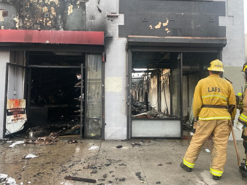 Las causas del incendio forman parte de una investigación en curso y piden a cualquier persona con información contactar a la policía de Los Ángeles.