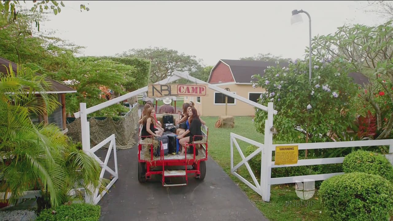 Por fin llegaron a su destino. Nada más y nada menos que a una granja.