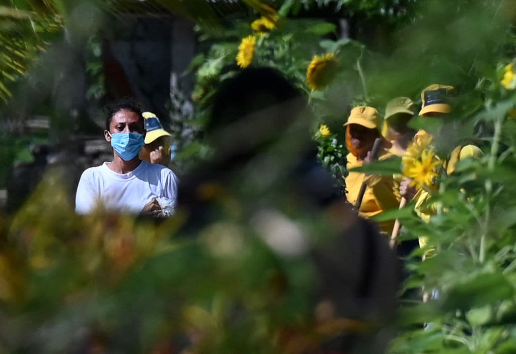 Hace una semana, un
<a href="https://www.univision.com/noticias/america-latina/sara-rogel-aborto-el-salvador-libertad">tribunal otorgó el lunes la libertad condicional a Sara Rogel</a>. "El juez después de evaluar que no habían razones para que Sara siga en la cárcel dio sentencia de libertad condicional anticipada", dijo entonces Morena Herrera, de la organización ACDATEE. Sara, que ingresó a la cárcel con apenas 20 años de edad, permanecía presa debido a que la Fiscalía General de la República anunció que recurrirá el fallo del juez, pero finalmente no lo hizo.
<br>