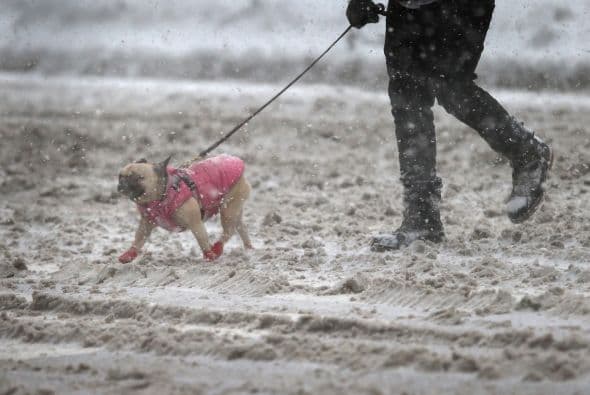 Comienzan a sentirse los días de invierno en Filadelfia 