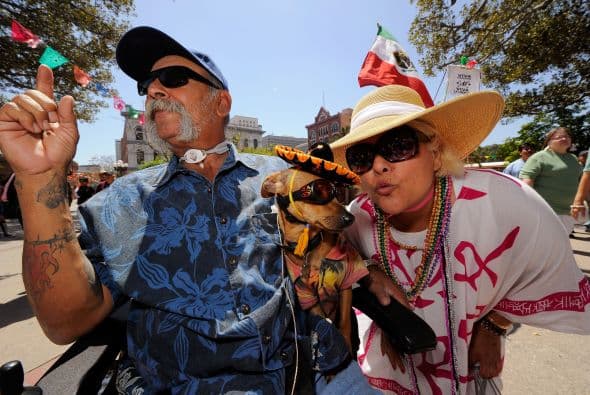 Quizá este quehacer y quizá el asunto del origen del héroe han hecho que los mexicanos en tierra extranjera se identifiquen de modo tal que enaltezcan la bandera del Cinco de Mayo.