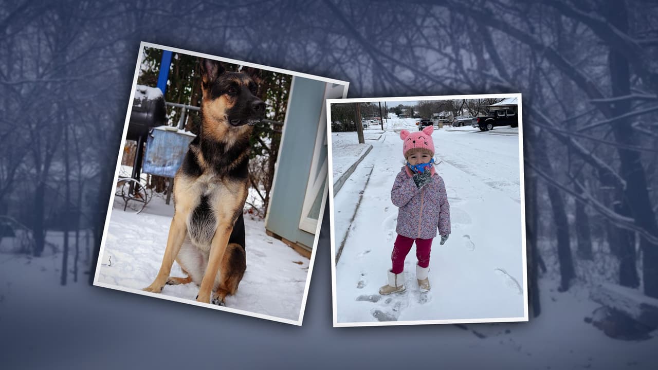 Monitos de nieve, mascotas y diversión: residentes del Metroplex comparten fotos de la tormenta invernal