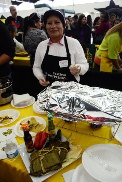 Festival Univision 2014