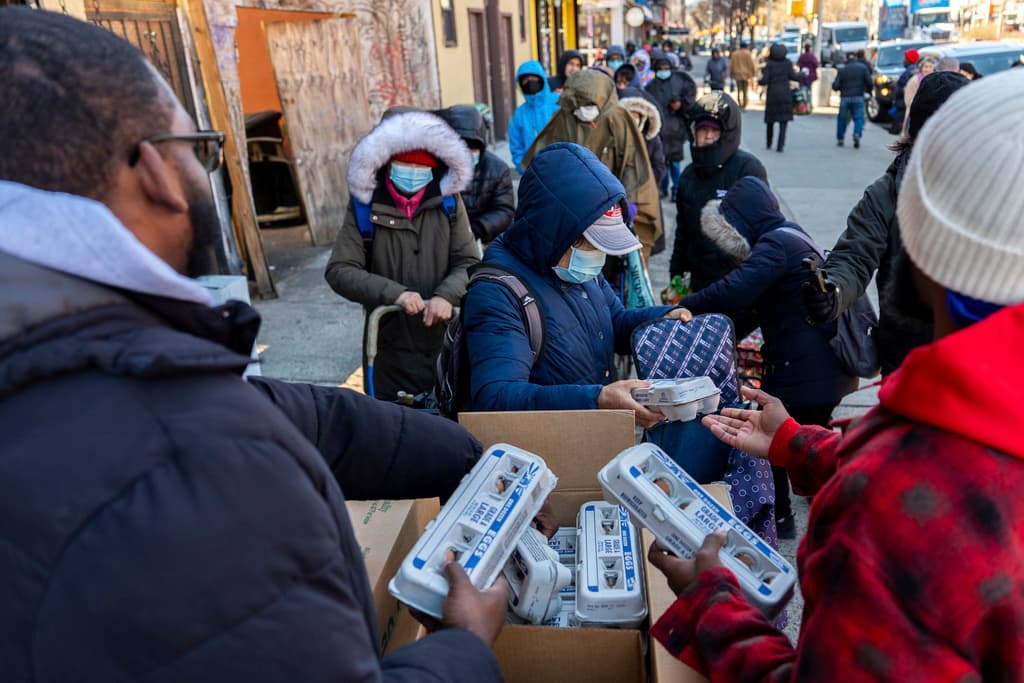 A inicios del año, el costo promedio de una docena de huevos en Estados Unidos era de $5.81. Aumentó hasta $7.52 y durante la primera semana de marzo subió a $8.17. En la ciudad de Nueva York hubo bodegas que 
<b><a href="https://www.univision.com/local/nueva-york-wxtv/bodegas-nueva-york-venden-huevos-detalle-altos-costos-experto-baja-precio-huevo" target="_blank">comenzaron a venderlos al detalle</a></b>.