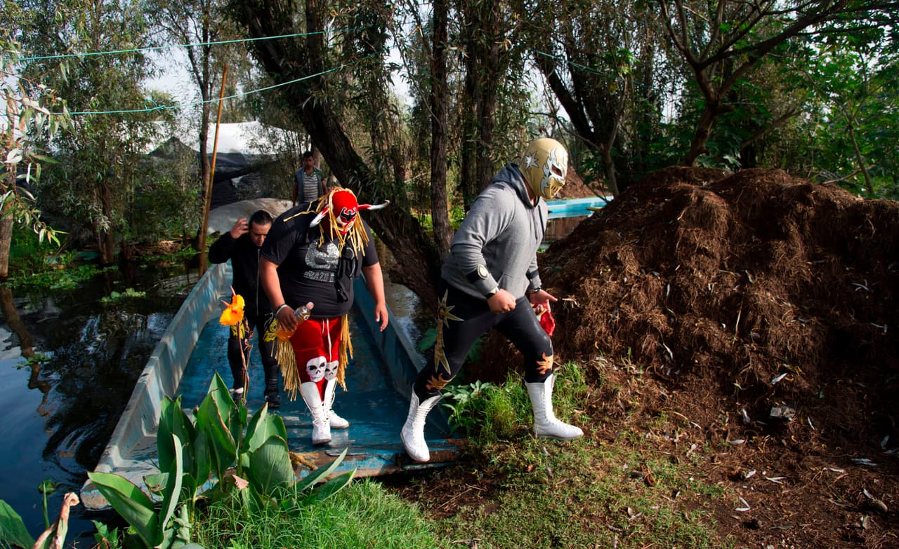 Sin el calor del público y la algarabía de la arena, los luchadores protagonizarán un evento envueltos por el canto de los pájaros de esta reserva natural de la Ciudad de
<a href="https://www.univision.com/temas/mexico-city">México</a>.
<b>A pesar de las adversidades, la valentía y la mística de los gladiadores siguen intactas al llegar al evento Chinampalucha organizado por ellos mismos. </b>