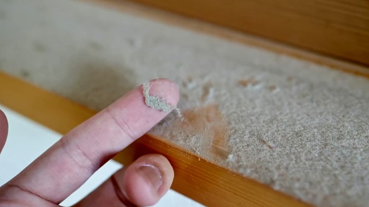 Polvo y mala ventilación en las aulas reducen la función pulmonar de los niños