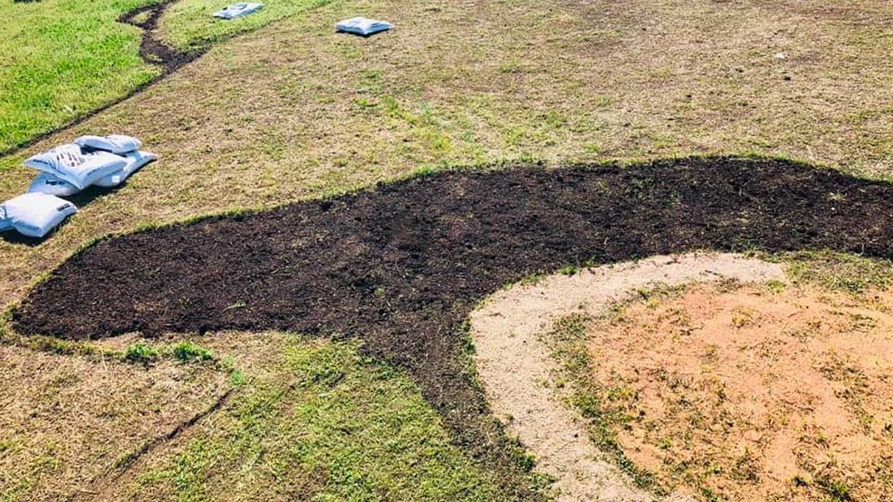 La creación se encuentra en el rancho 
<a href="https://www.facebook.com/Carson-Creek-Ranch-148114978704010/" target="_blank">Carson Creek</a>, ubicado a una milla y medio del aeropuerto internacional de Austin.