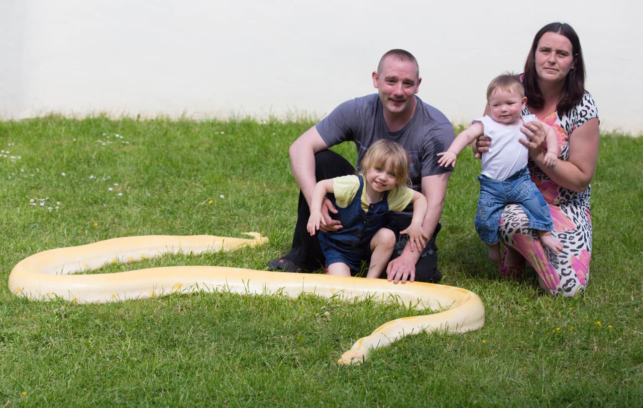 De acuerdo con él, es mucho más fácil que un perro muerda a que una de sus serpientes ataque.