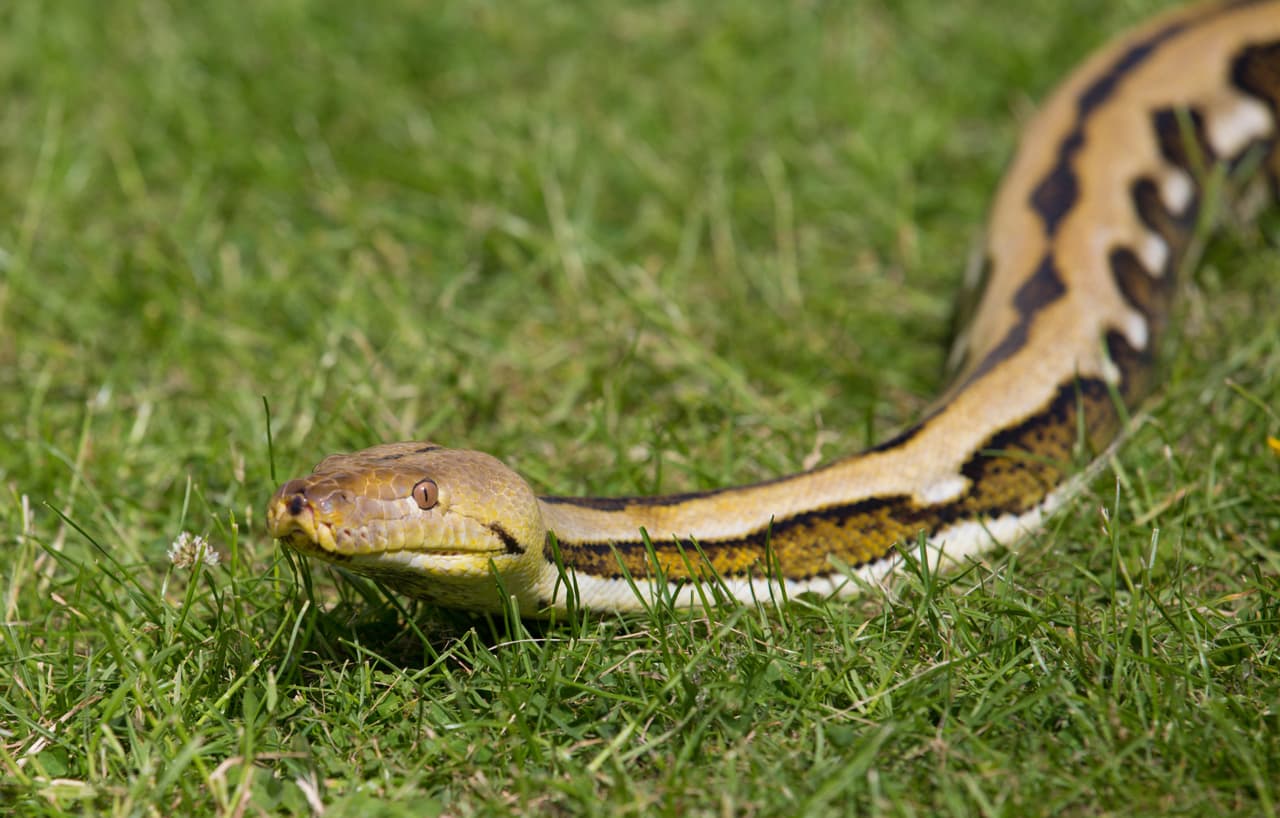 Rob vive en Bradford, West Yorkshire.