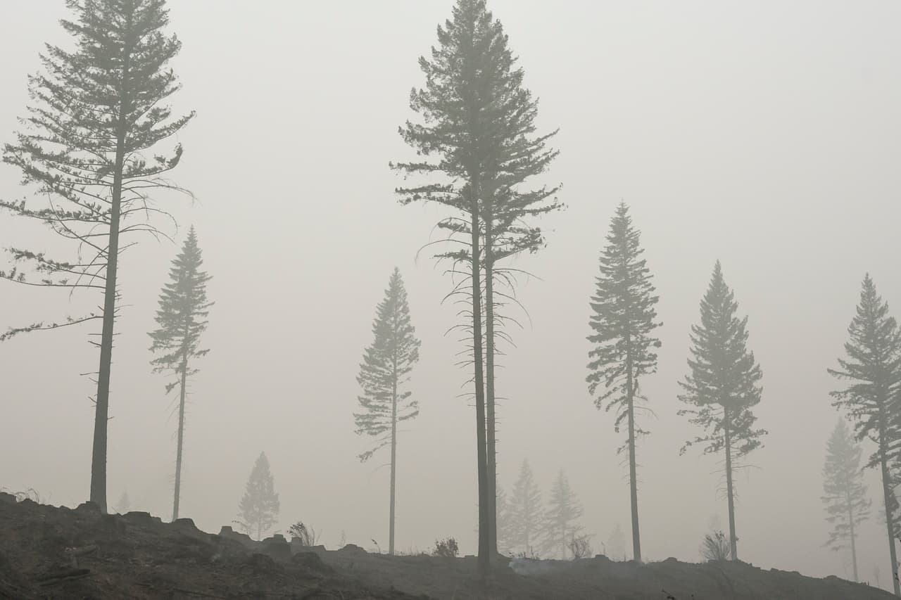 <h3 class="cms-H3-H3">6. Oregon</h3>
<br>
<b>(Grandes desastres desde 1953: 133)</b>
<br>
<br>Aunado a los severos incendios, inundaciones, deslizamiento de tierra, tormentas, sequías y terremotos, Oregon también sufrió los efectos de un tsunami en Japón durante 2011, 
<b>cuando las ondas de choque provocaron altas olas que dañaron los muelles y dejaron los barcos apilados uno encima del otro. </b>
<br>
<br>Además, dos hombres resultaron heridos tras ser arrastrados desde una playa. La asistencia federal por desastre para las víctimas del tsunami 
<b>ascendió a 5.6 millones de dólares. </b>
<br>