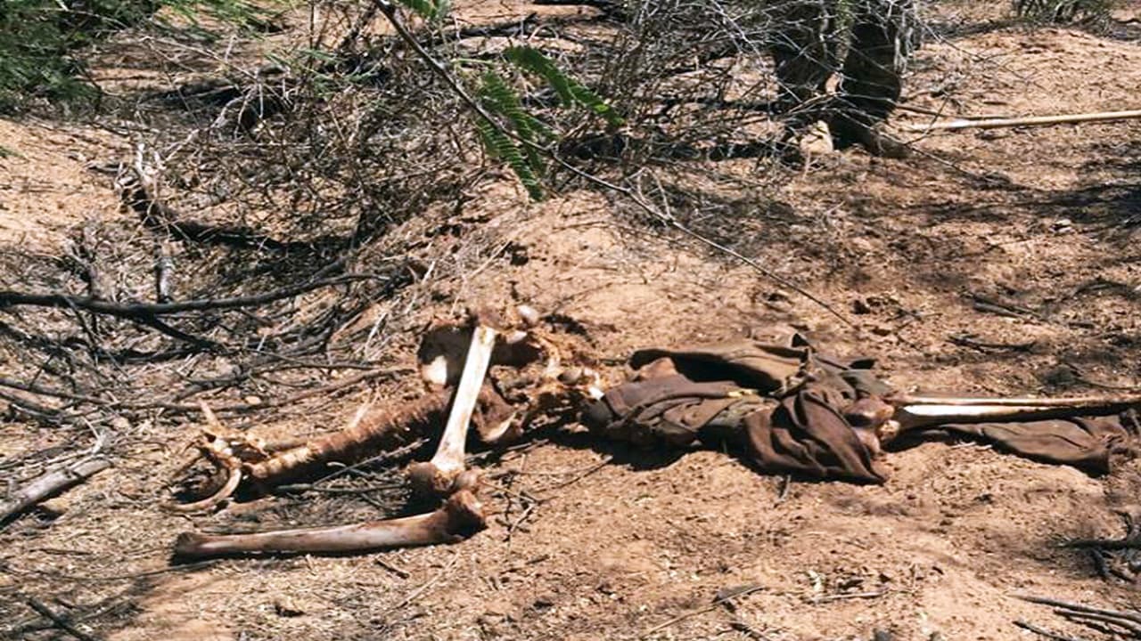 Ocho cadáveres de inmigrantes en un día: la dura labor de buscar cuerpos en el desierto de Arizona 