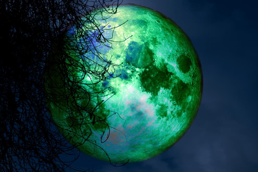 Este viernes 19 de noviembre se llevará a cabo el segundo eclipse lunar del año, que en esta ocasión será llamado "eclipse de luna de castor", debido a que es en noviembre los castores trabajan en sus represas y por eso los nativos americanos decidieron llamarle así.