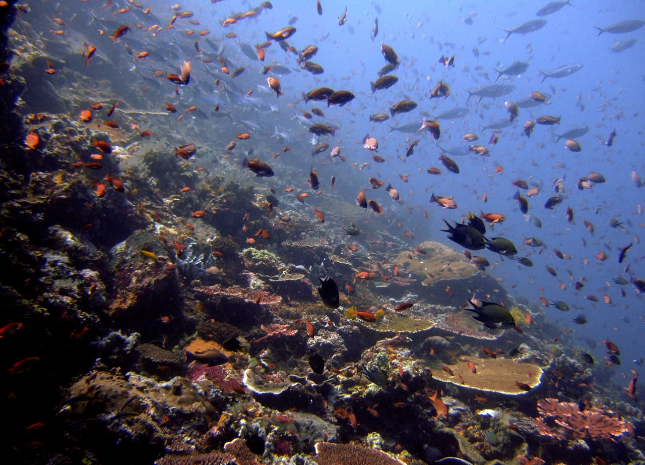 En un planeta cada vez más caliente también se calientan las aguas. El agua más cálida retiene menos oxígeno y el calentamiento causa estratificación, por lo que hay menos mezcla vital de las capas ricas y pobres en oxígeno.