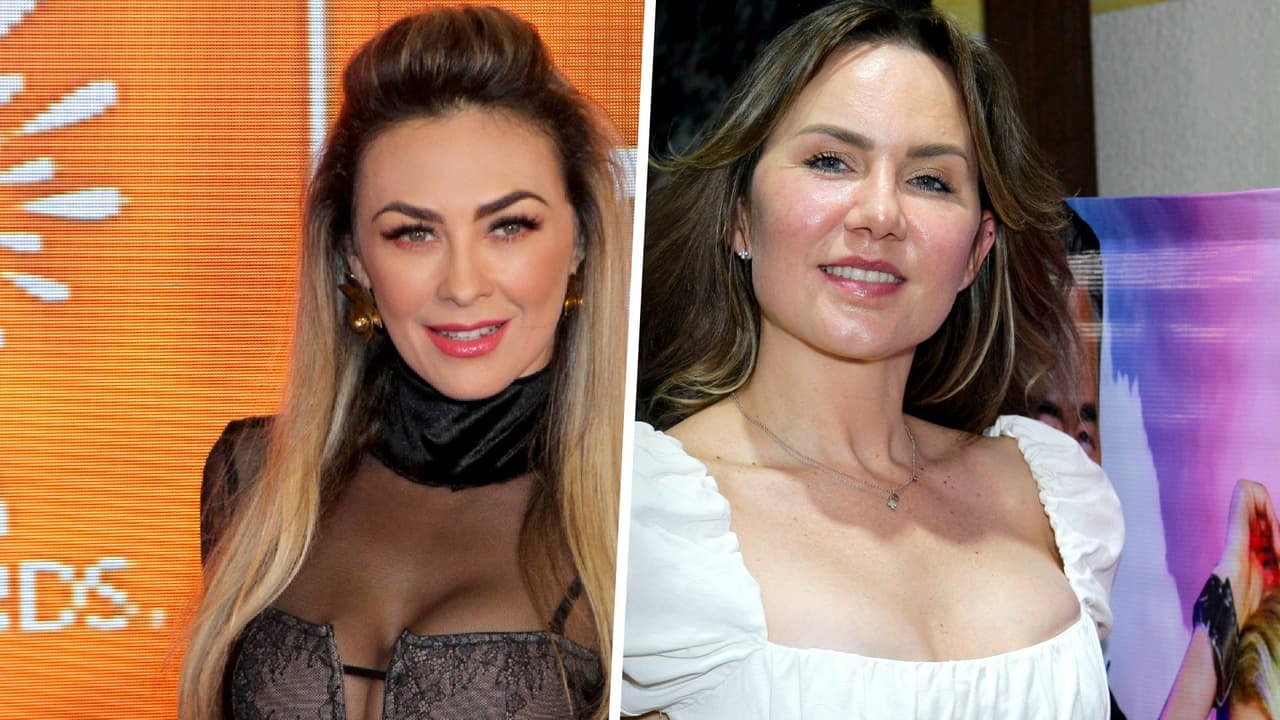 ¿Michelle Vieth es "ingobernable" como Aracely Arámbula? La actriz habla de su vida amorosa