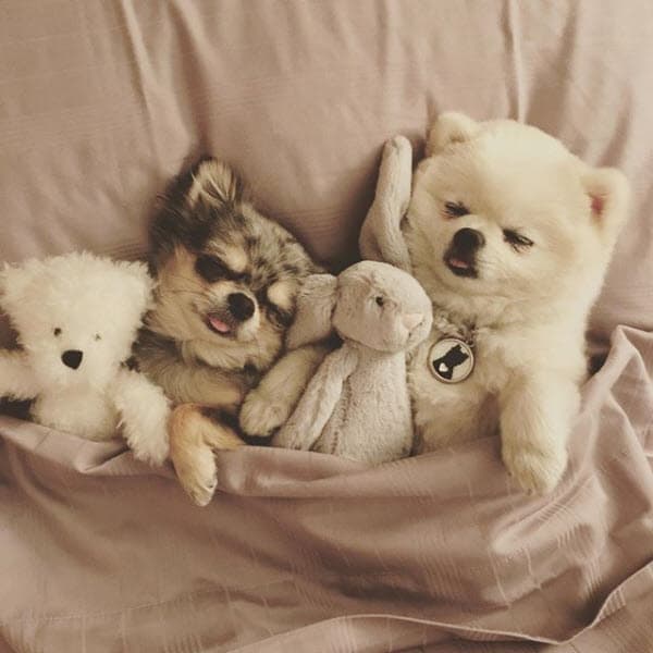 "Dicen que Dios no nos habría dado la capacidad de soñar, sin darnos también la capacidad de hacer nuestros sueños realidad", escribió la también actriz en Instagram en esta imagen.