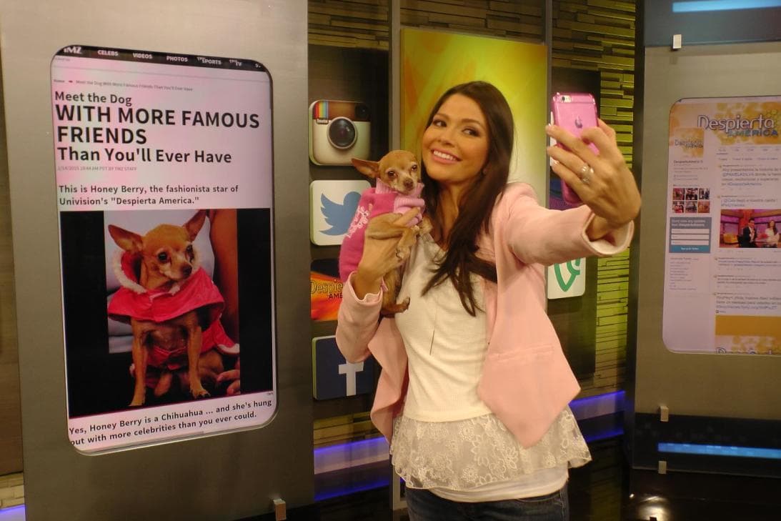 La amistad de Honey con las celebridades se convirtió en noticia.