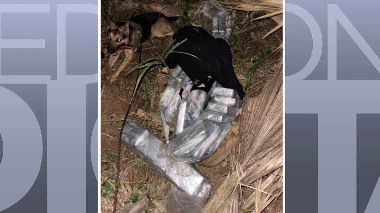 Patrulla Fronteriza incauta cocaína valorada en $1.9 millones en Isabela