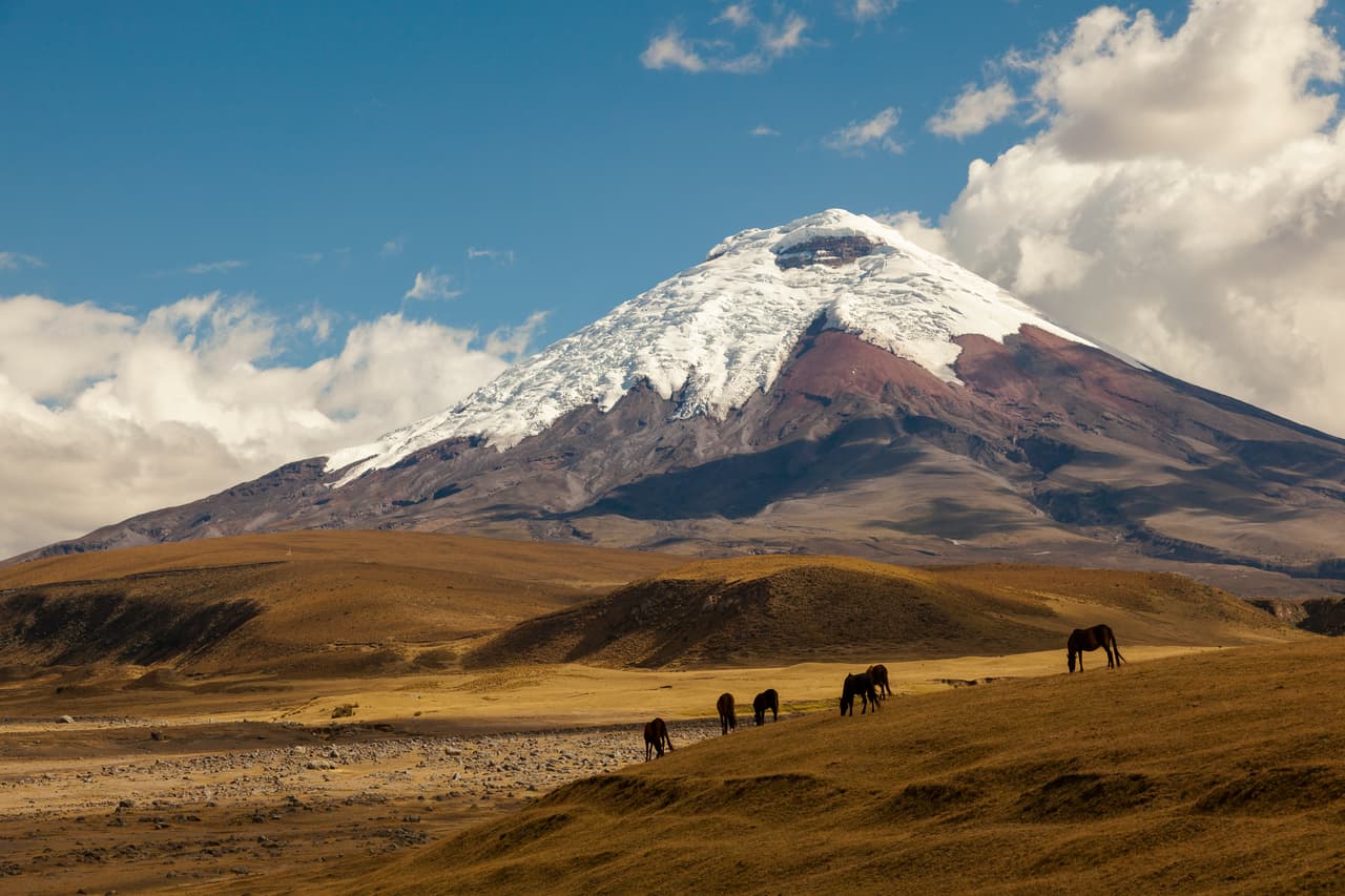 Pedregal, en ecuador.