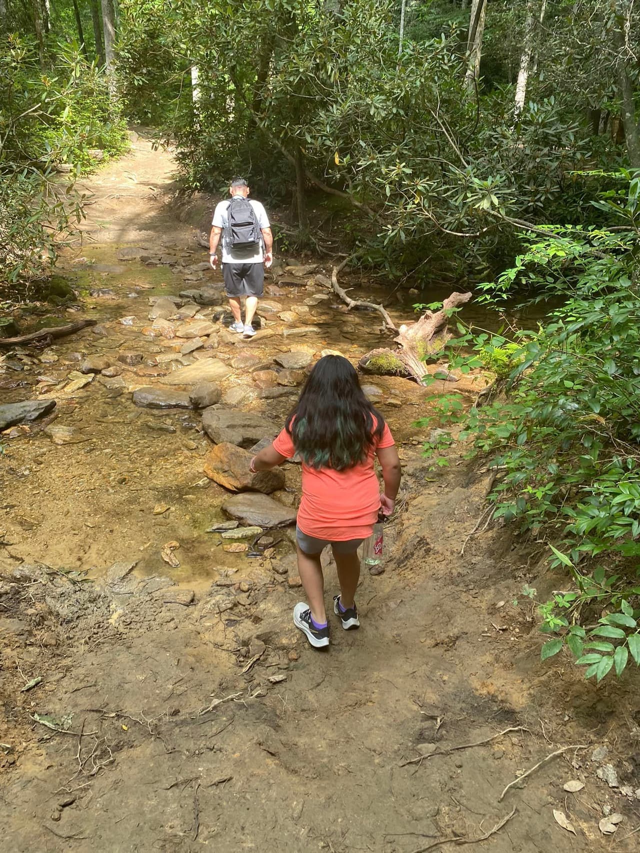 El sendero a Rainbow Falls y Turtleback Falls en el río Horsepasture es, fácilmente, el más popular del parque.